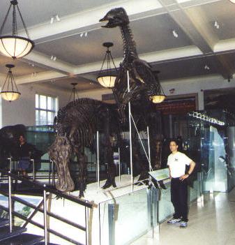 Dinosaurios
